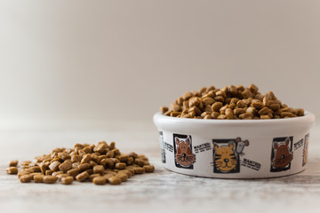 Dry cat food in white bowl on white background