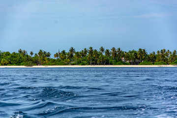Stunning tropical beach with white sand in the Maldives. a great place to dive into meditation and Nirvana