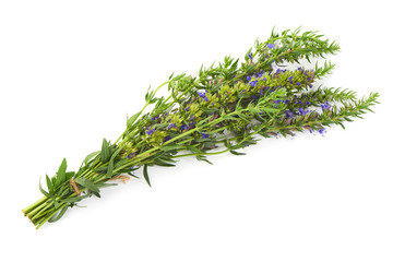 Tarragon (Artemisia dracunculus) spice, Isolated on white background. Close-up