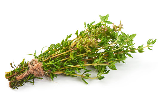 Bunch of Thyme, close-up, isolated on a white background.