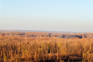 Autumn trees on the reclaimed lands