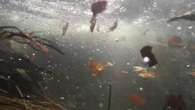 Unter Wasser in einem Bach im Herbst