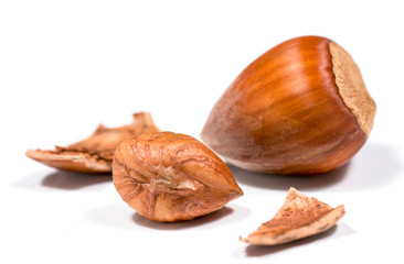 hazelnuts on a white background