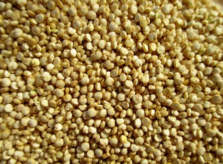 Arrière-plan de grains de quinoa blond 