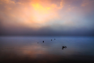 sunset on the foggy swan lake