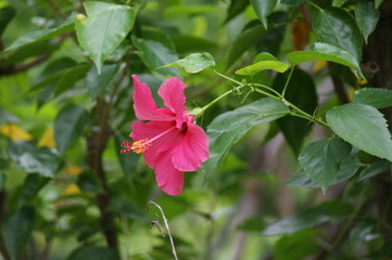 Impressionen Bali
