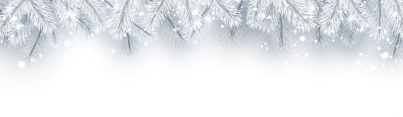 Fototapeta na wymiar White banner with fir branches and snow for winter, Christmas and New Year decorations.
