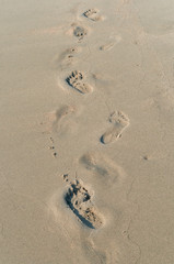 Fototapeta na wymiar Footprints in the sand. A hike along the seashore. A tourist walks along the sea coast.