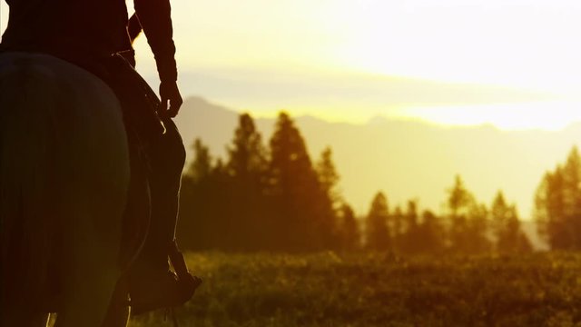 Silhouette of Cowboy Rider forest wilderness area Canada