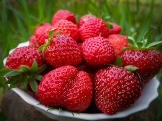 Close-up of ripe and sweet strawberry. Many berries lie on a white plate. Natural sunlight.