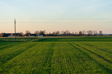 Landschaft mit Strommasten zur Abenddämmerung