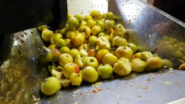 pr&eacute;paration artisanale jus de pomme