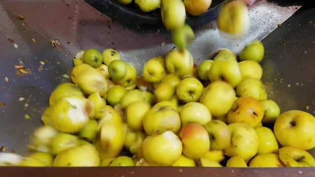 pr&eacute;paration artisanale jus de pomme