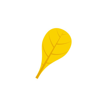 spathulate leaf flat icon