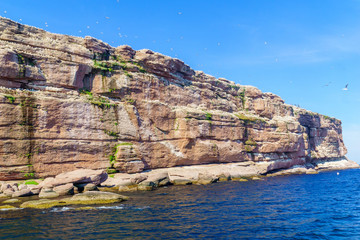 Fototapeta na wymiar Cliffs and birds in the Bonaventure Island