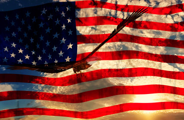 Eagle at sunset background with american flag - 3D rendering