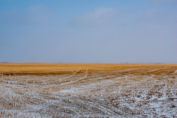 Flat prairies in winter, Western Canada