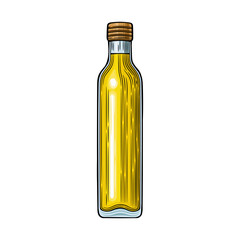 Olives on a branch with leaves in a cup. Vector illustration. 