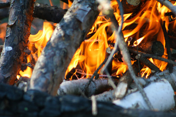 Burning firewood in the bonfire. Flames burning in the grill with smoke. Arson or natural disaster. Texture of fire and flame