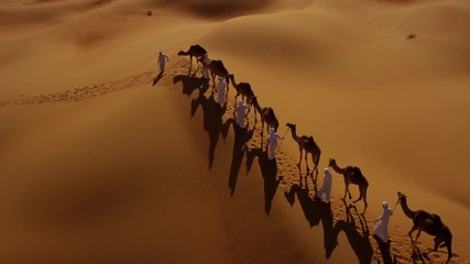 Aerial drone of a convoy of camels with owners across desert sand