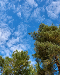 Obraz premium Dramatischer Himmel 3