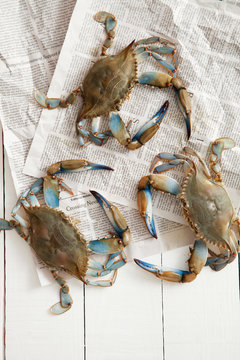 Overhead view of crabs on table