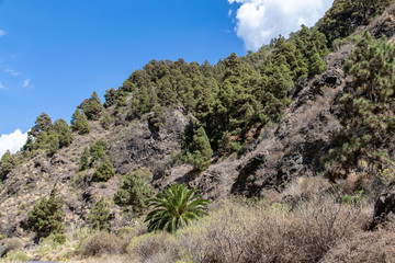 Ravine landscape of Barranco de las Augustias, La Palma, Canary Islands, Spain