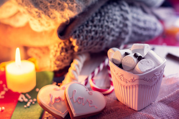 Cozy winter with cup of coffee and marshmallow and ginger snap