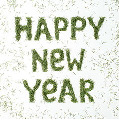 Quote HAPPY NEW YEAR made of conifer needles on white background. Flat lay, top view New Year composition.