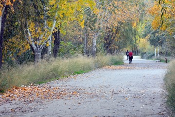 Paseo en otoño