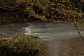 Autumn stream in the park