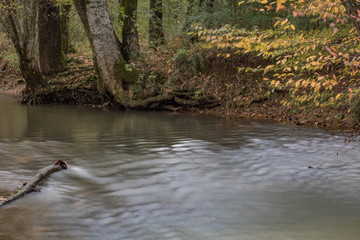 Autumn stream in the park