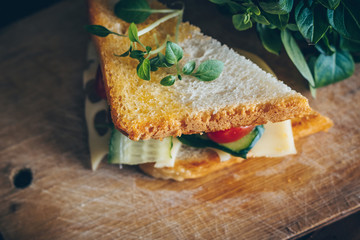 Tasty food background. Sandwich with cheese and vegetables.