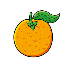 Orange fruit isolated