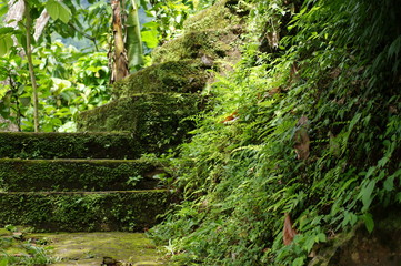 Obraz premium Impressionen Bali
