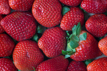 fraises 2