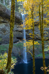 Silver Falls State park in the Autumn