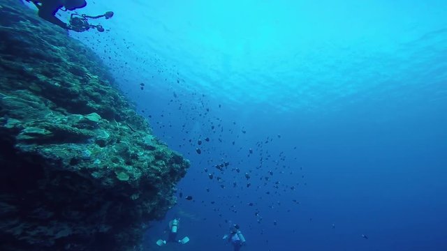 慶良間諸島 阿嘉島 ダイビング動画 GoPro