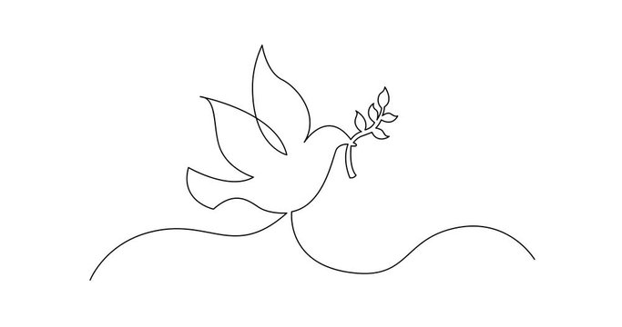 Self Drawing Line Animation of continuous line concept sketch drawing of dove with olive branch peace symbol