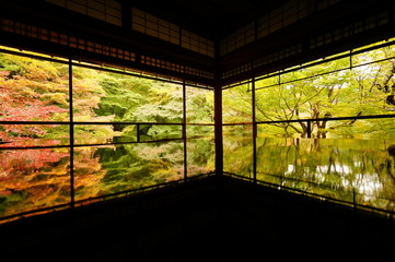 京都　瑠璃光院　紅葉
