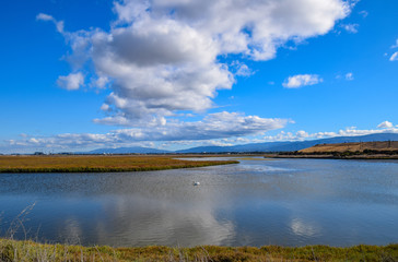 Puffy Clouds Over Baylands Reserve