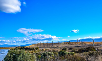 The Scene at Baylands Reserve in Palo Alto, California