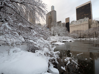 Central Park, New York City in winter