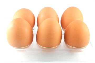 egg isolated / six eggs in box isolated on white background - fresh brown eggs farm organic