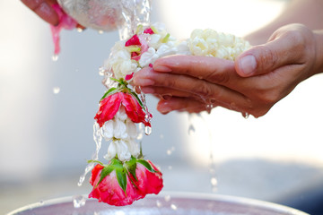 Hand of young woman pour water and flowers on the hands. older women and happy for the songkran festival. concept gives blessing in Songkran day Thailand