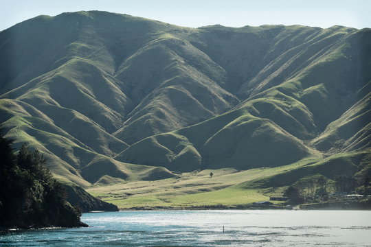 Background image of the green rolling hills of New Zealand through the Marlborough Sounds.