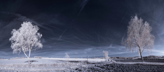 infrared photography - ir photo of landscape with tree under sky with clouds - the art of our world...