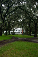 Southern White Manson surrounded by Live Oaks & Crepe Myrtle Trees