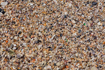 Sea sand texture made of shell and stone pieces.