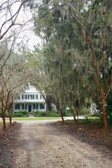 Obraz premium Southern White Manson surrounded by Live Oaks & Crepe Myrtle Trees